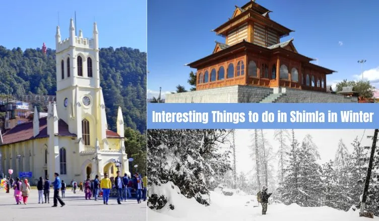 shimla in winter
