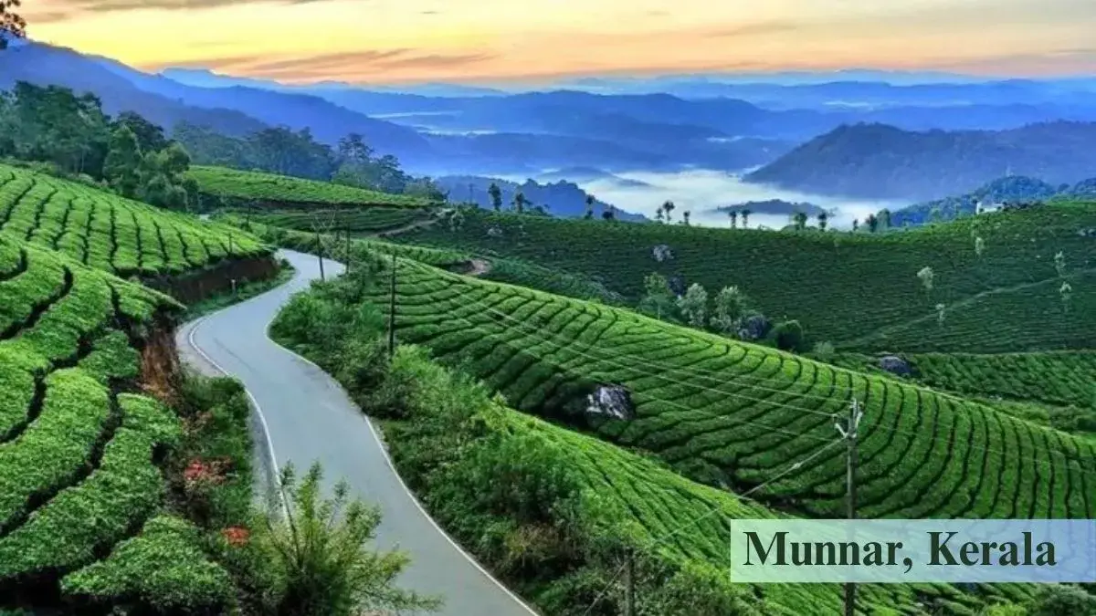  Munnar, Kerala – Lush Green Valleys and Misty Magic