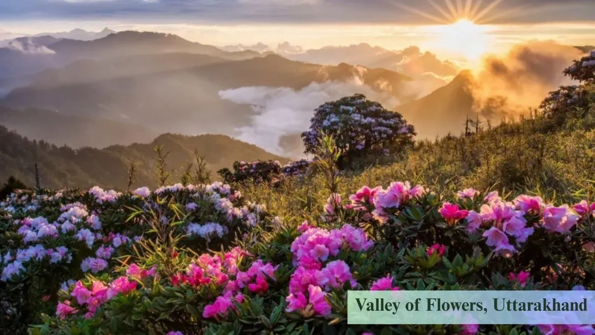 Valley of Flowers, Uttarakhand – A Colorful Dream