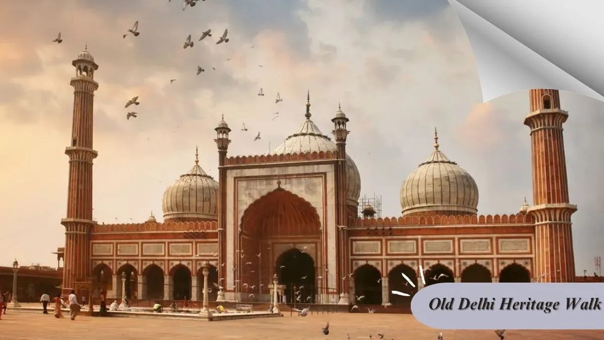 Old Delhi Heritage Walk: A Journey Through Time