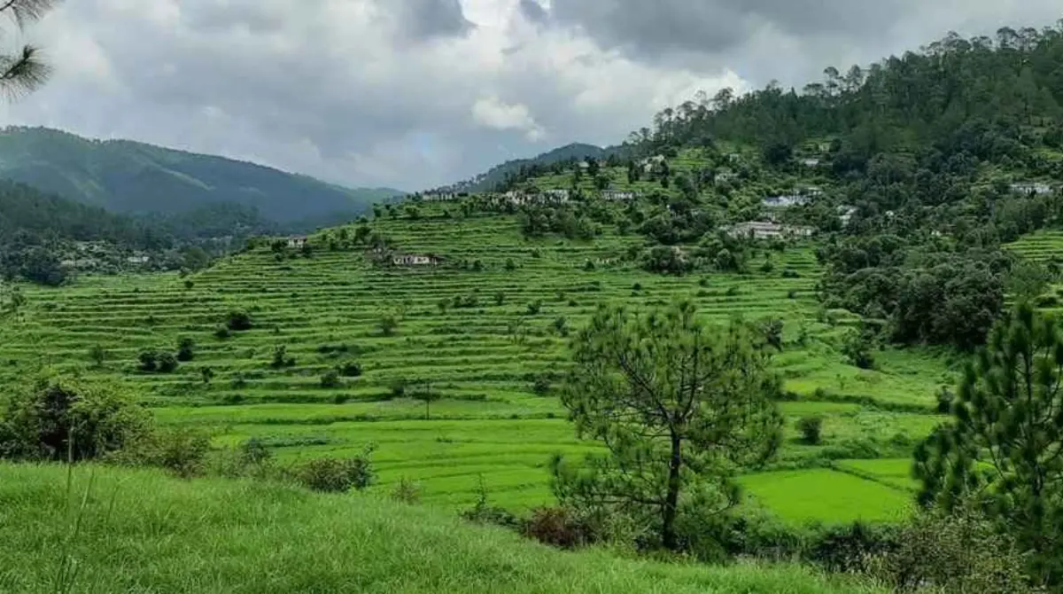 Kausani 