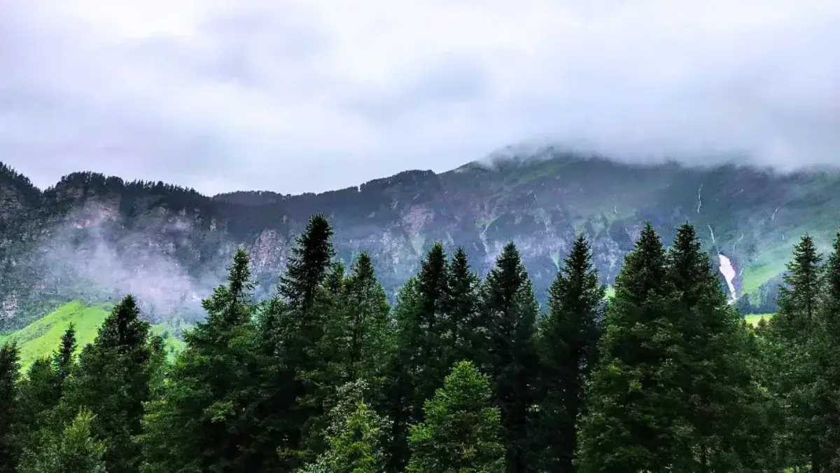 Manali Manali