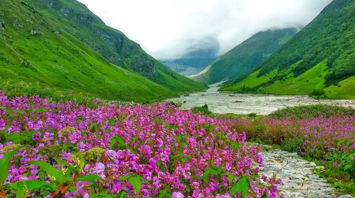 Valley of Flowers a must visit places in uttarakhand