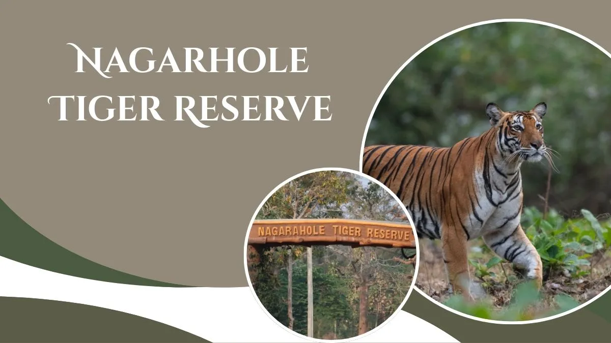 Nagarhole Tiger Reserve 