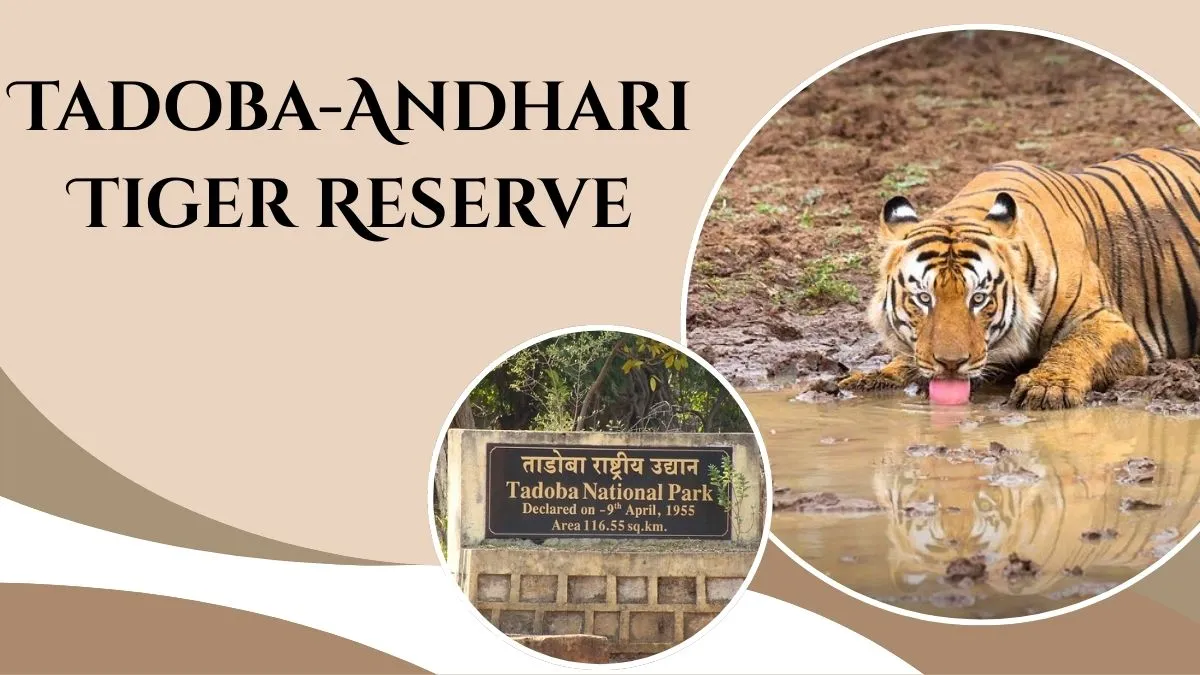 Tadoba-Andhari Tiger Reserve