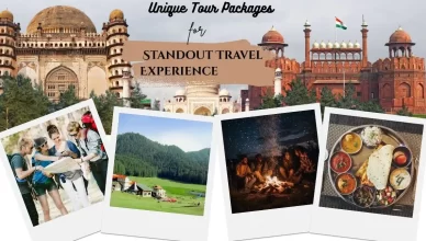 How We Create Unique Tour Packages for Standout Travel Experiences