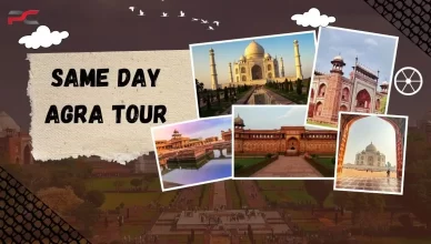 Same Day Agra Tour Cost