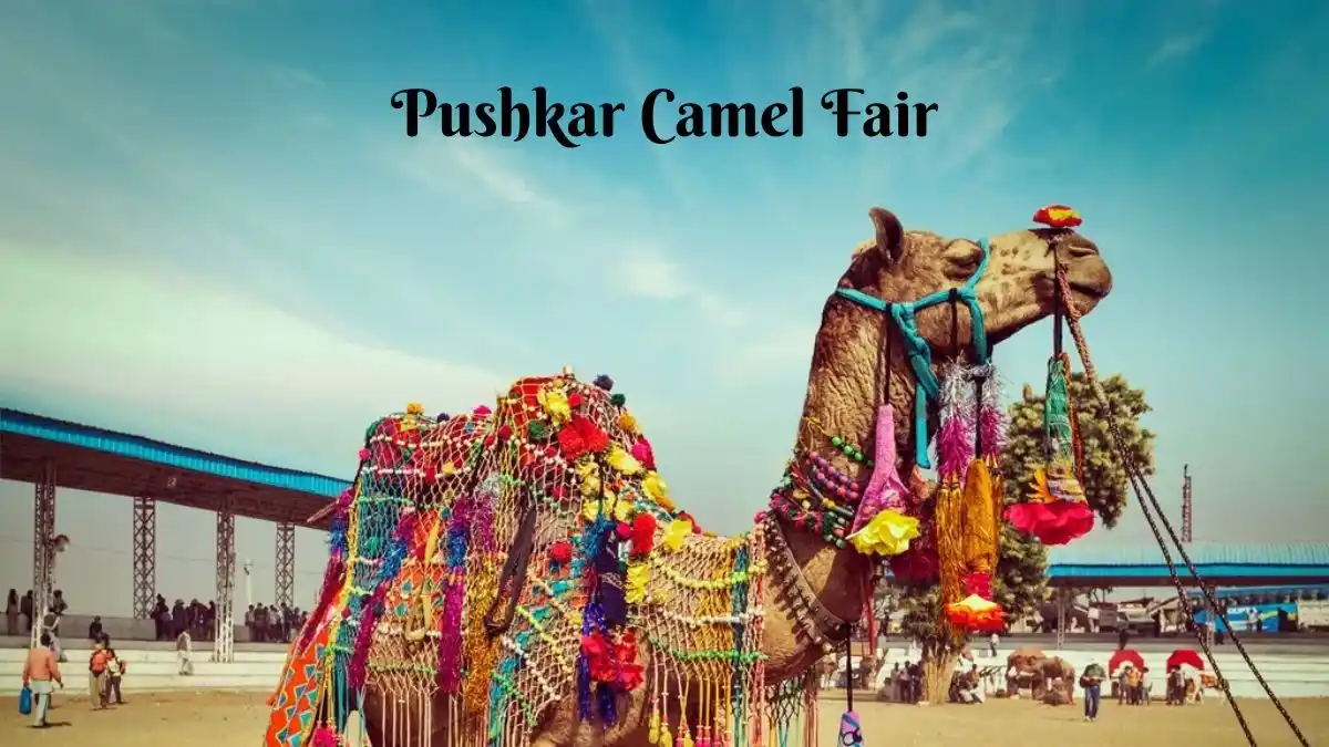 Pushkar Camel Fair Pushkar Camel Fair