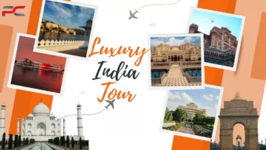 Luxury India tour showing Taj Mahal, royal palace hotel, safari experience, and cultural travel highlights