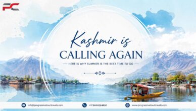Scenic view of Kashmir’s Dal Lake with a traditional shikara boat, surrounded by snow-capped mountains and peaceful summer landscapes.