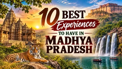 10 Best Madhya Pradesh Experiences