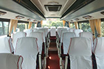 49 Seater Bus Hire