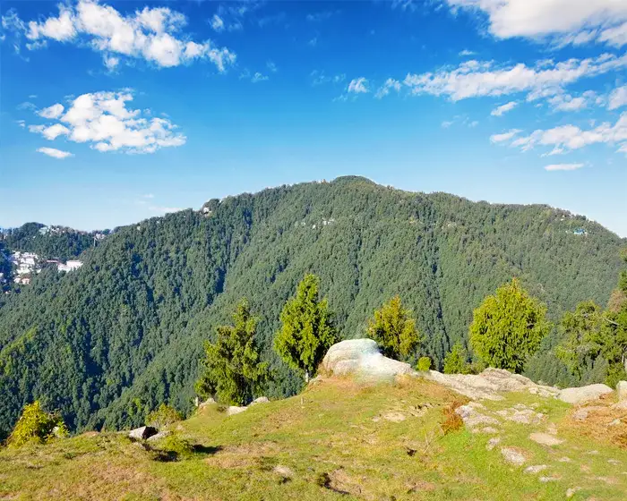 Dharamshala Dalhousie Tour package
