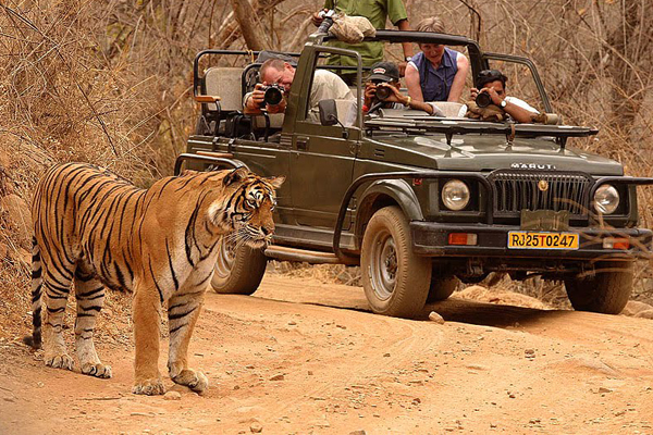 Ranthambore