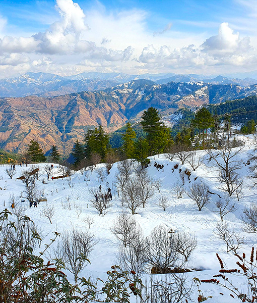 Shimla Kufri Tour