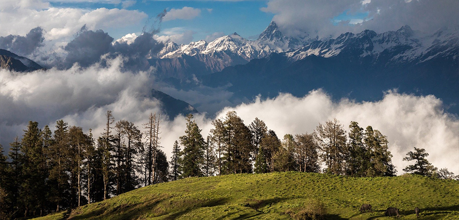 Tempo Traveller Uttarakhand