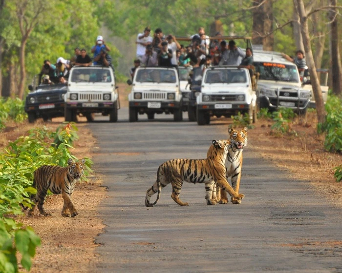 Jim Corbett Tour